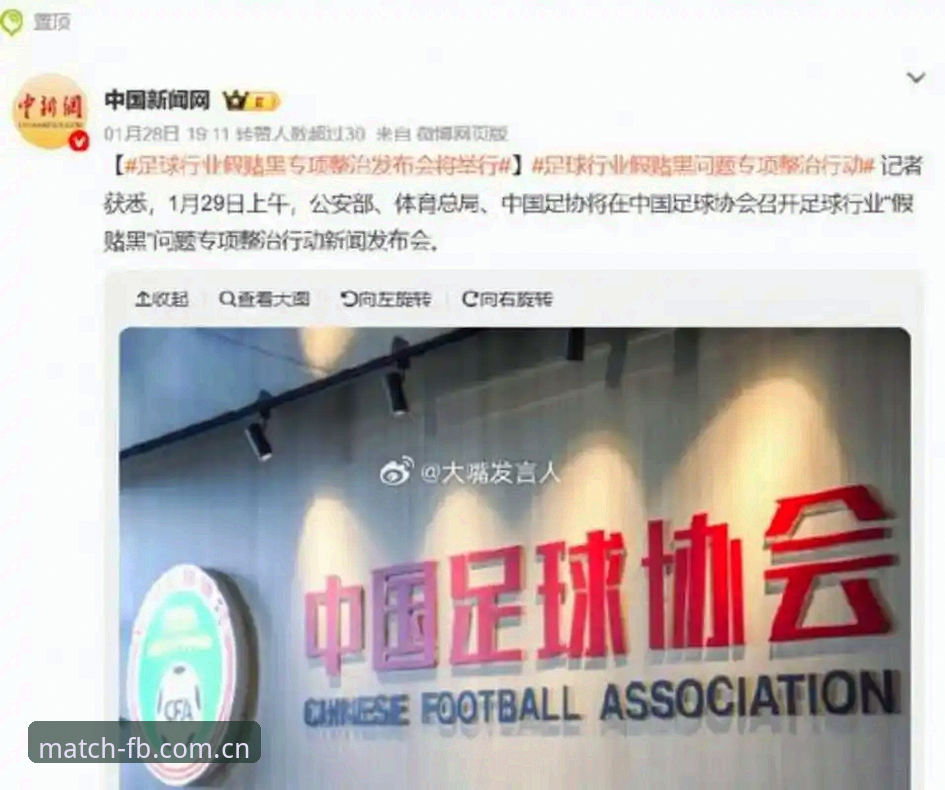 中国足协第三批禁足名单：17人终身禁赛，48人受罚，FB体育平台呈现中国足球反腐风暴全景
